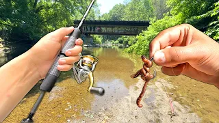 Eating Whatever I Catch.. (Catch and Cook) Creek Fishing w/ WORMS