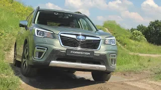 2020 Subaru Forester e-BOXER - Off-Road