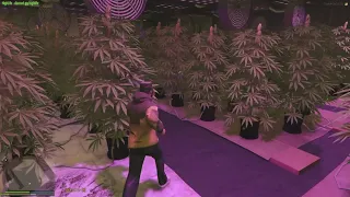 GTA 5 RP HIGHLIFE RP WEED METHOD 2021