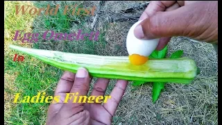 How to Cook An Egg Omelette in a Ladies Finger /Rare Recipe/ wild Survival Style /My Village Food