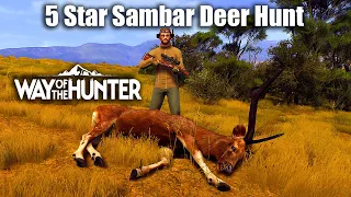 Way Of The Hunter - 5 Star Sambar Deer Hunt