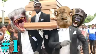 Coffin Dance Meme: HUMANS VS WILD ANIMALS Meme Compilation #1