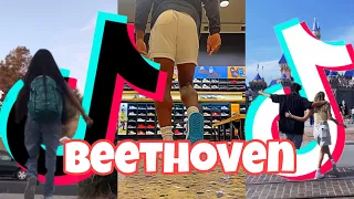 Beethoven TikTok DANCE Compilation🔥