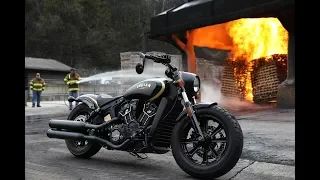 Jack Daniel’s Scout Bobber