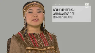 Языки народов России - Язык селькупов
