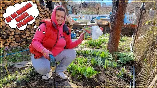 Сезон 2023 - градината ни през март/ живот на село с Дидо и Кали
