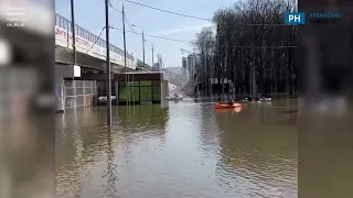 Жители Рязани выбрали Лесопарк для прогулок на лодке