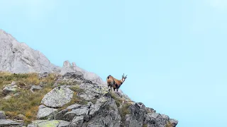 Solo Hiking the Pirin Mountains in Bulgaria