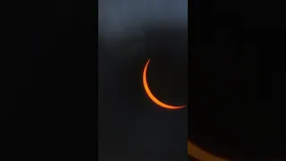 Solar Eclipse Confuses a Rooster