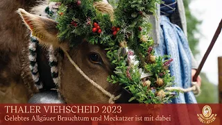 Thaler Viehscheid 2023 - gelebtes Allgäuer Brauchtum
