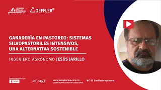 Ganadería en pastoreo: Sistemas silvopastorales intensivos una alternativa sostenible