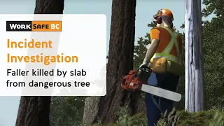 Incident Investigation: Faller Killed by Slab From Dangerous Tree | WorkSafeBC