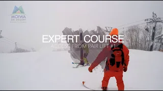 Niseko Moiwa Courses - Expert course