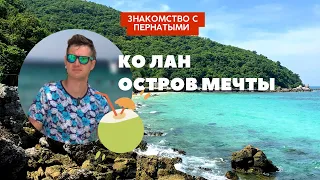 ПОЧЕМУ Ко Лан? На остров из Паттайи. Забавный обзор пляжа Тиен.