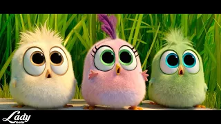 Jackson 5 - I Want You Back / The Angry Birds ( Music Video HD)