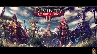 ВРЕМЯ ПРИКЛЮЧЕНИЙ #4 ● Divinity: Original Sin 2