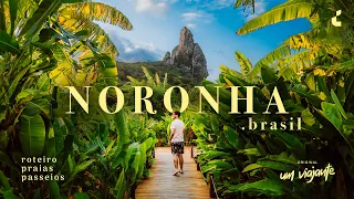 FERNANDO DE NORONHA, BRASIL: Viagem, roteiro, melhores passeios e dicas