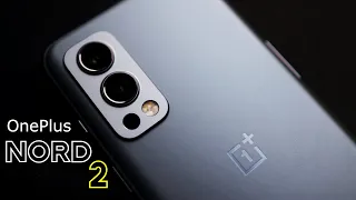 OnePlus Nord 2 CAMERA TEST by a Photographer (Hindi)