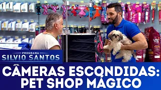 Pet Shop Mágico | Câmeras Escondidas (25/11/18)