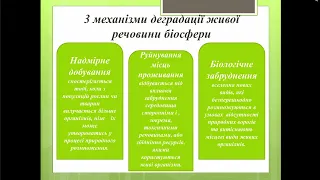 Екологія. Лекція №12. Біорізнаманіття. Основні закони екології.