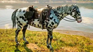 CABALLO DALMATA | RED DEAD REDEMPTION 2