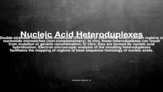 Medical vocabulary: What does Nucleic Acid Heteroduplexes mean