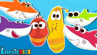 Baby Shark + More Kids Songs and Nursery Rhymes