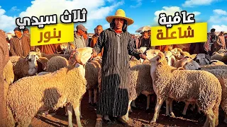 اليوم من سوق الثلاثاء سيدي بنور بالمغرب 🇲🇦مع أثمنة حولي عيد الأضحى 🐑 بتاريخ 21/05/2024