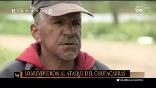 Sobrevivientes al ataque del "Chupacabras" (2/2) | La Hermandad | 31 de octubre