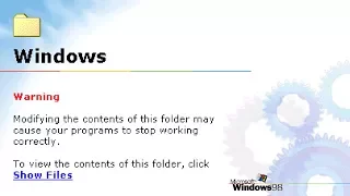 What's in the Windows Folder?