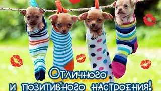 Отличного и позитивного настроения!!!!🤗💓💞💯🥳🎉🎈🎊