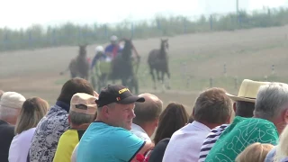 Русская тройка Айнур, Риск. Емельяновский ипподром 2019 сельский