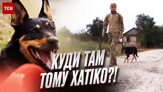 🐕💖 Вірна Жужа врятувала військових від голоду під Бахмутом!