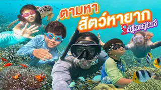 ตะลุยภาคใต้ ภารกิจตามหาสัตว์หายากใต้ทะเล หมู่เกาะสุรินทร์!!  | กุมารTravel EP.288