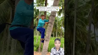 Cara cepat panjat pohon kelapa dengan mudah