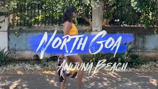 North Goa Vlog | Where to Stay | Things to do in Goa | TravelWithPinkpebble | Day 2 Vlog