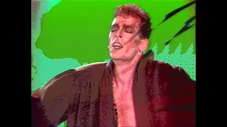 Baltimora - Tarzan Boy (1986)