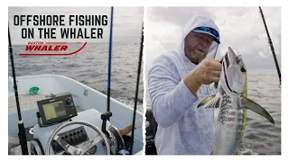 Trolling OFFSHORE on a 17' Whaler! Bonus Tuna on the Planer while ISO Wahoo!