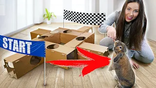 КРОЛИК ПРОХОДИТ ЛАБИРИНТ ИЗ КАРТОНА Тоннель Полоса препятствий | Elli Di Pets