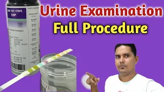 Pus cells under microscope | urine examination under microscope | urine examination test