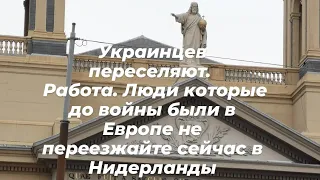 Украинцев переселяют  Работа Люди которые до войны были в Европе не переезжайте сейчас в  Нидерланды