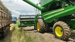 colhedeira John deere verdinha  chegou pra substituir amarelinha kk