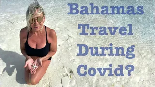 Swimming Pigs, Sharks, Bahamian Iguanas and traveling to the Bahamas during Covid