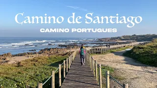 Camino de Santiago - Camino Portugues 2022 | Porto to Santiago | 11 Days | 280KM (175 miles)