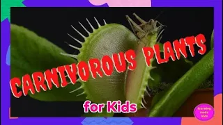 Carnivorous Plants for Kids | Are they Dangerous to Humans?? | Educational Video for Kids