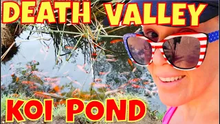 Weird Death Valley Secret #573: Koi Pond Oasis