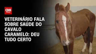 Veterinário fala sobre saúde do cavalo Caramelo: Deu tudo certo | BRASIL MEIO-DIA