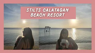 Mochi’s First Swim In Stilts Calatagan Beach Resort | Pet-Friendly Resort in Batangas