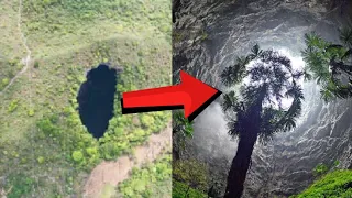 Mystery Sinkhole With Ancient Forest Opens Up