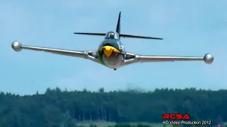 Rc Panther F-9F 20%